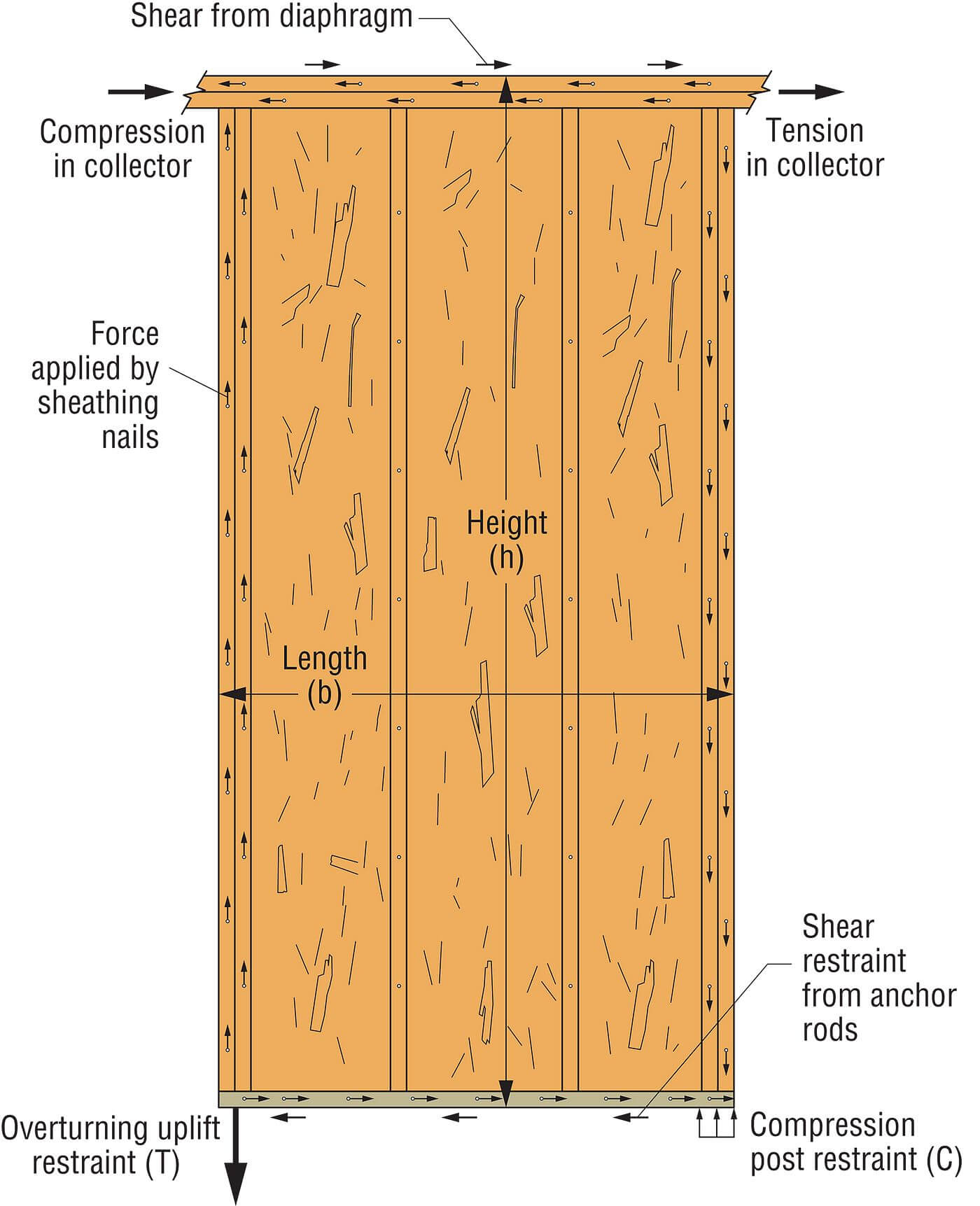 Anchor Tiedown System